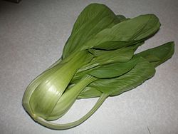 250px-Brassica_rapa_var__chinensis_(leaf).jpg